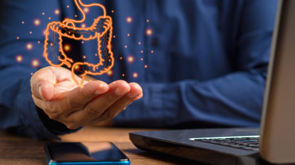 Microbiota e obesidade