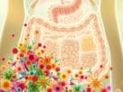 intestino e perda de peso