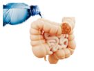 Hidratação para o funcionamento do intestino