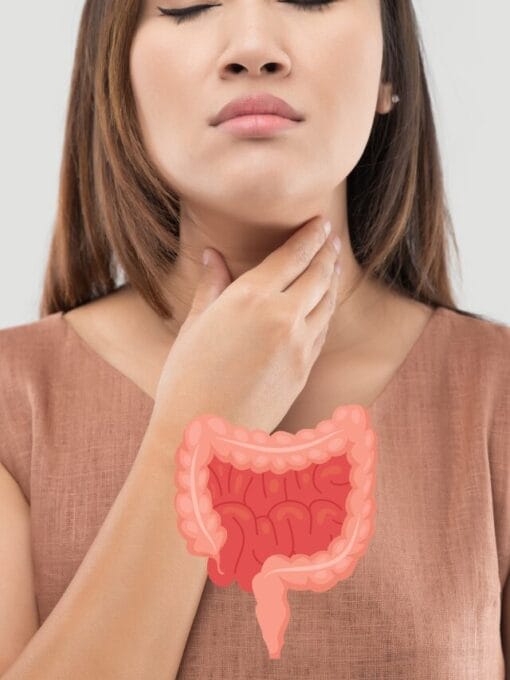 Tireoide e intestino em sintonia: o que comer hoje