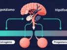 mudanças hormonais climatério